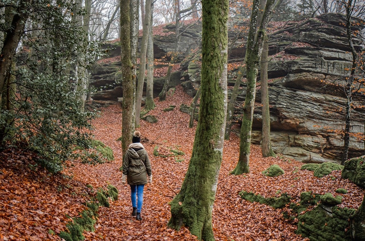 Du betrachtest gerade Wanderwege: Die besten Routen für Naturliebhaber
