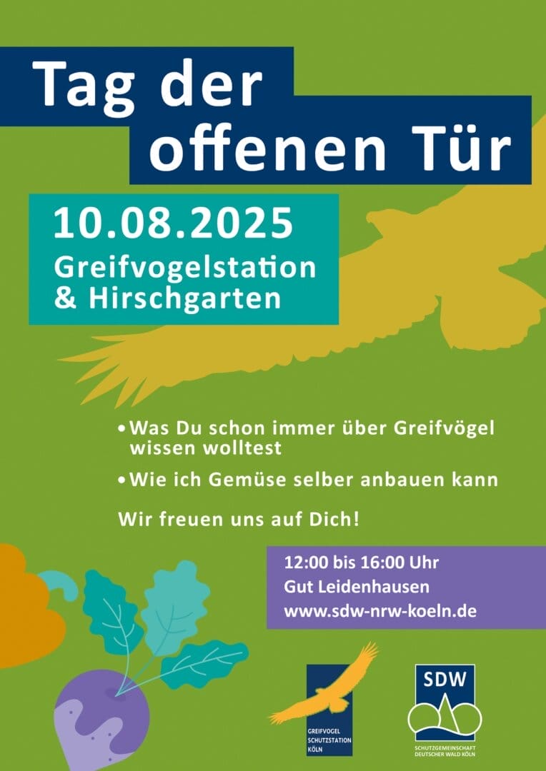 Mehr über den Artikel erfahren Tag der offenen Tür